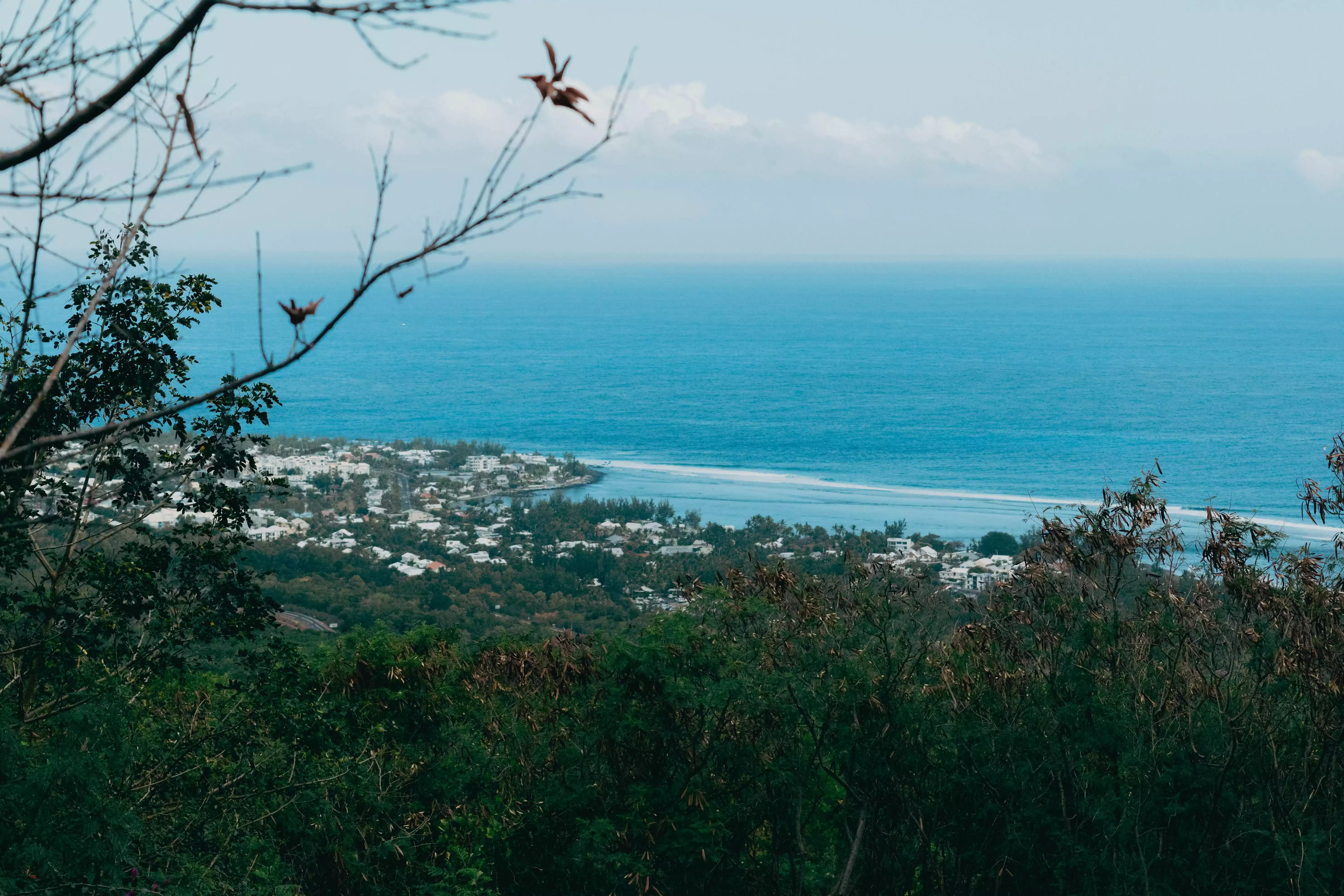 post banner