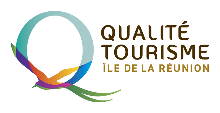 Logo QTIR